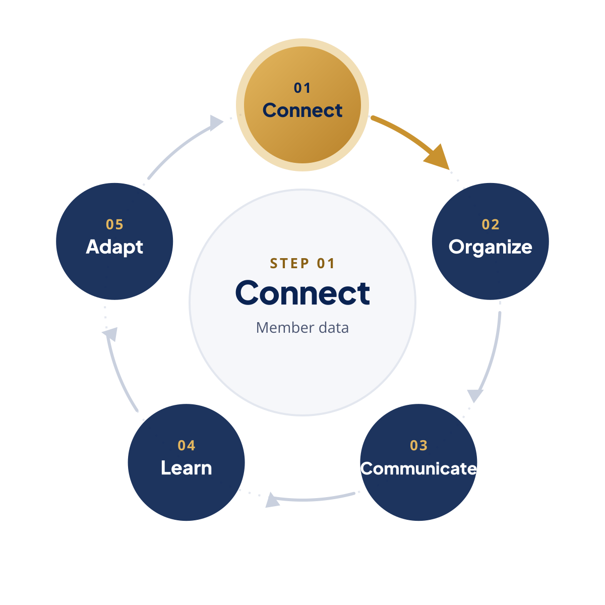 Feedback loop with step 1, Connect, highlighted