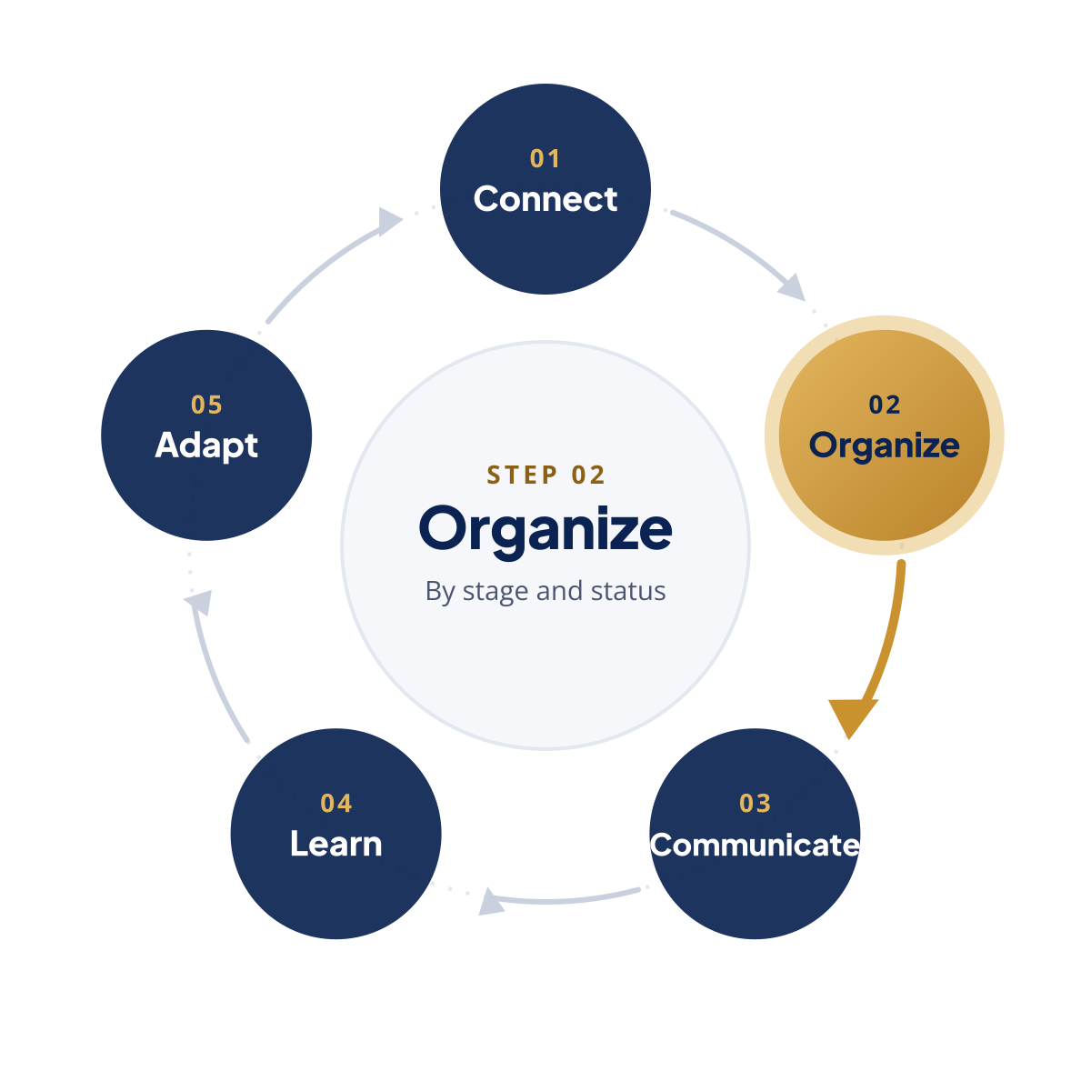 Feedback loop with step 2, Organize, highlighted
