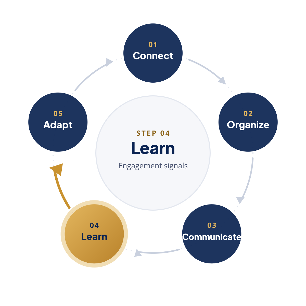 Feedback loop with step 4, Learn, highlighted
