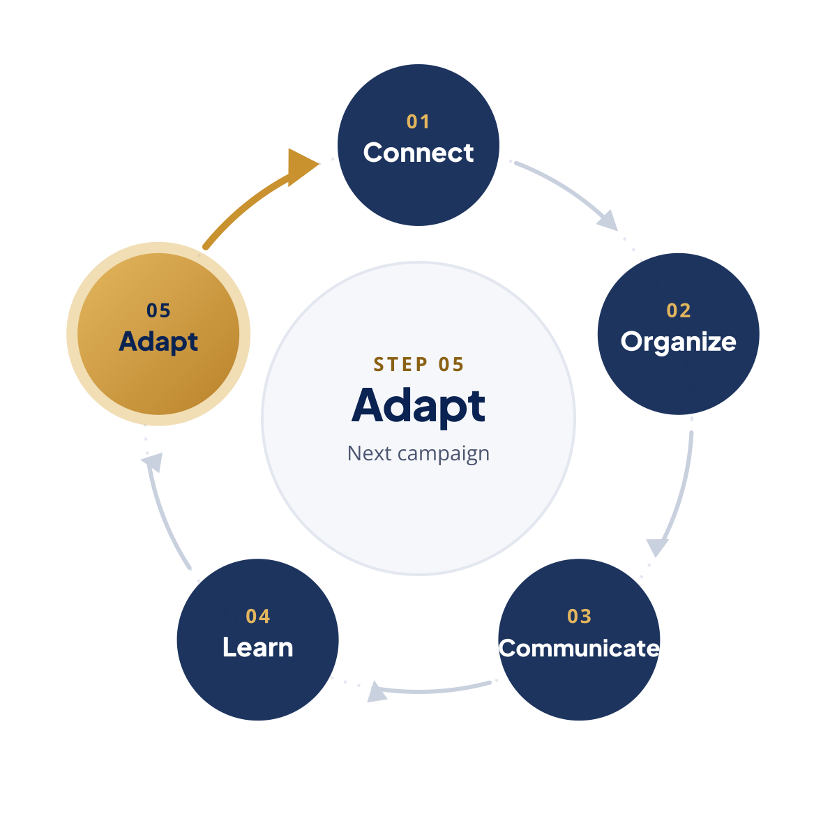Feedback loop with step 5, Adapt, highlighted